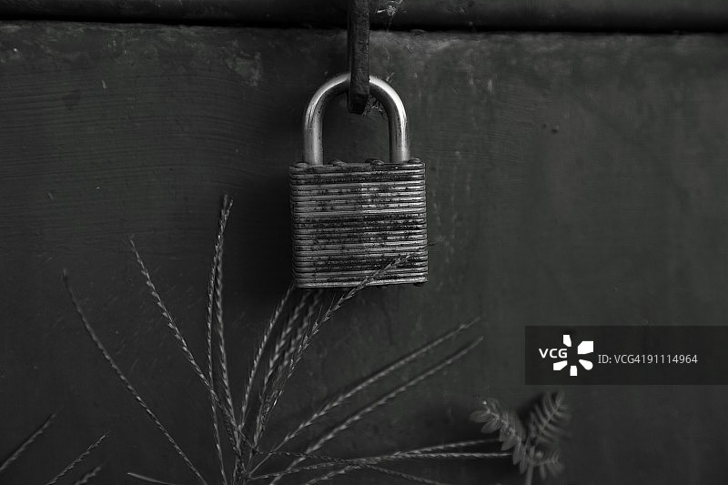 带杂草的挂锁图片素材