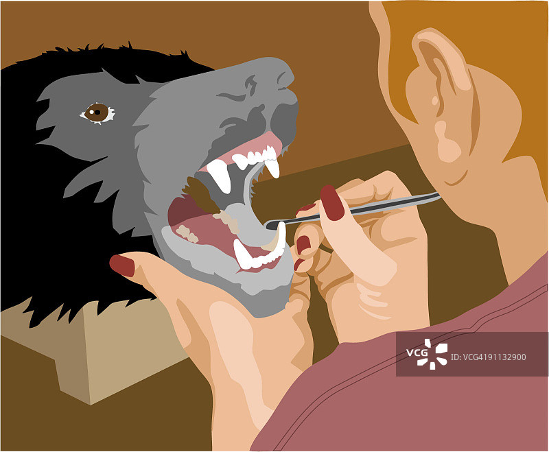 动物标本剥制师图片素材