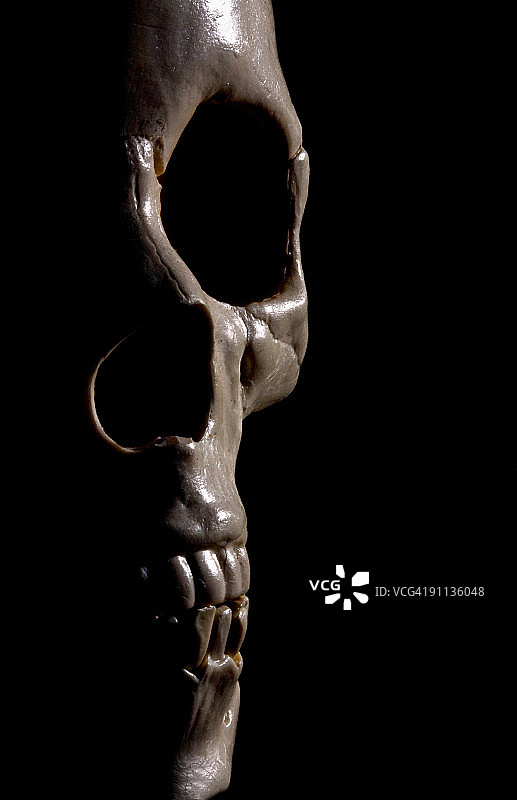 人头骨轮廓图片素材