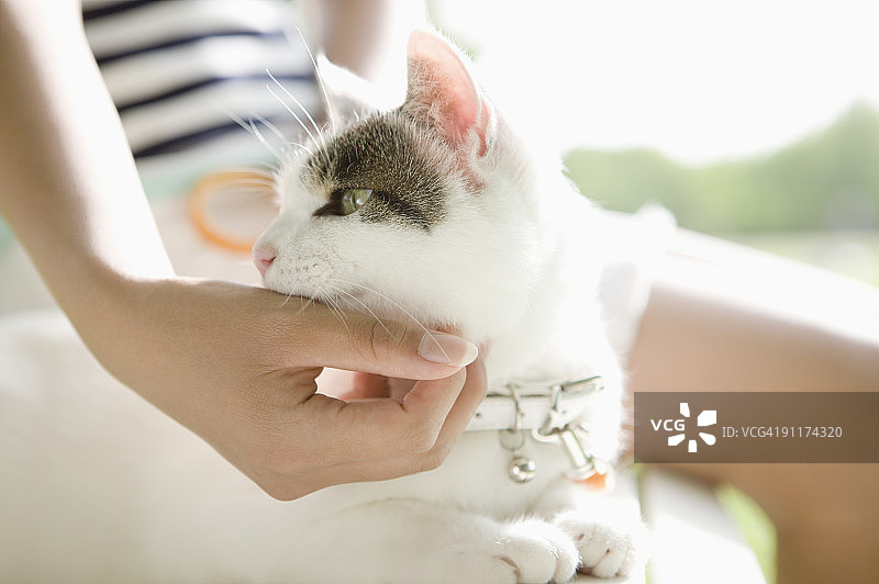 女孩和小猫坐在长椅上图片素材