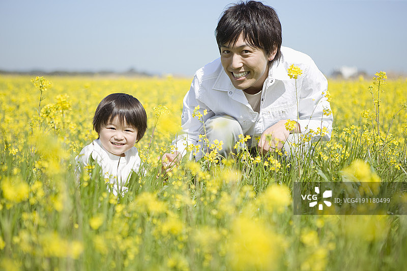 油菜籽田里的父子图片素材