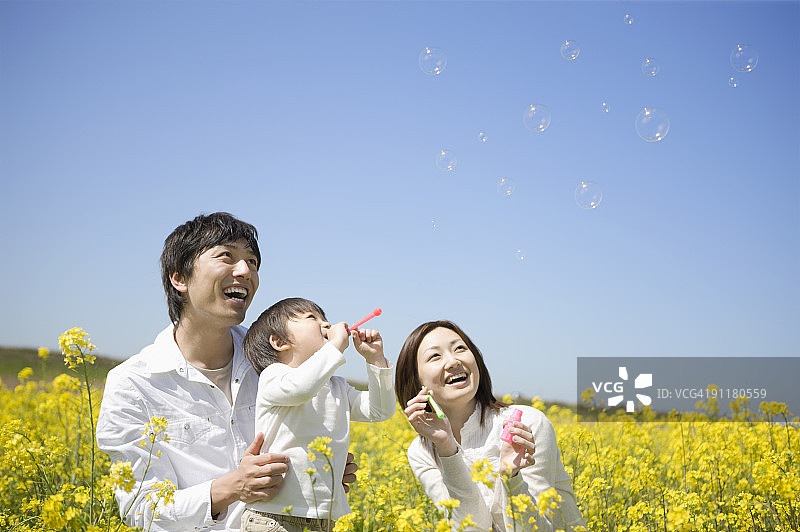 油菜籽田里的家庭，男孩吹泡泡图片素材