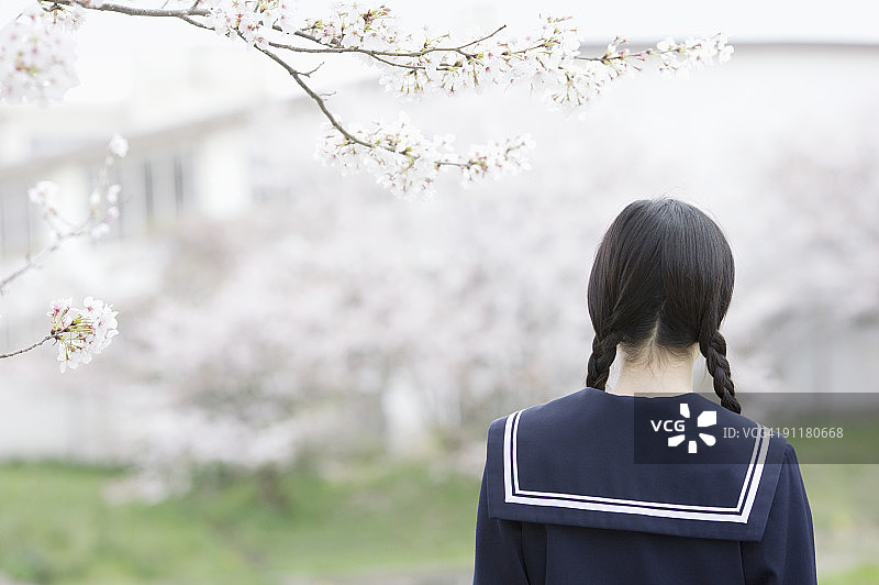 穿着校服站在樱桃树旁的少女（背影）图片素材