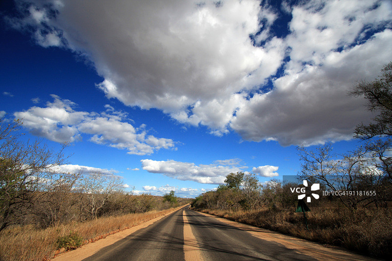 南非姆普马兰加省克鲁格国家公园图片素材