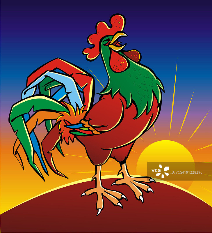 公鸡图片素材