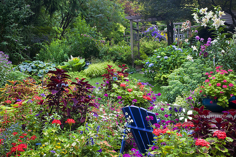 夏季的自家花园图片素材