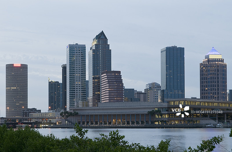 坦帕天际线图片素材