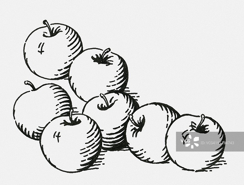 黑白成熟苹果数字插画图片素材