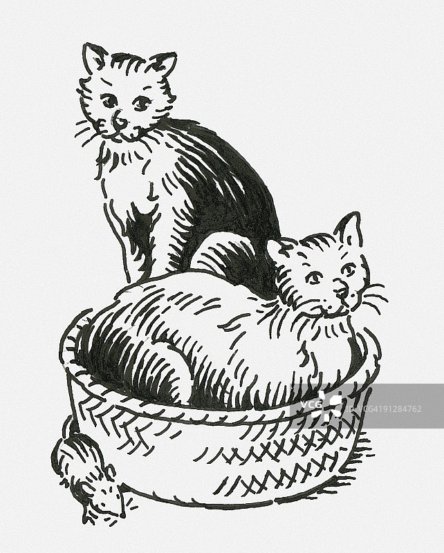 两只猫无视宠物床边老鼠的黑白数码插画图片素材