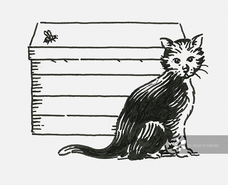 好奇的小猫坐在蜂箱附近，蜜蜂在蜂箱上方飞舞的黑白数字插图图片素材