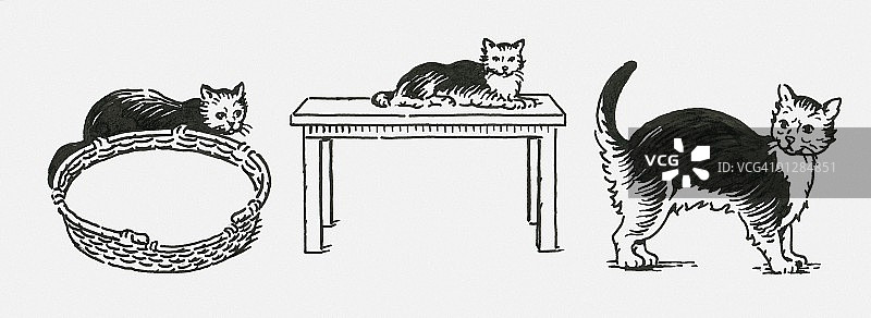 三只猫躺在宠物床附近的黑白数字插图图片素材