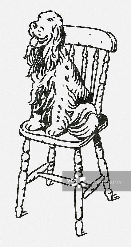 坐在木椅上的英国激飞猎犬的黑白数字插图图片素材