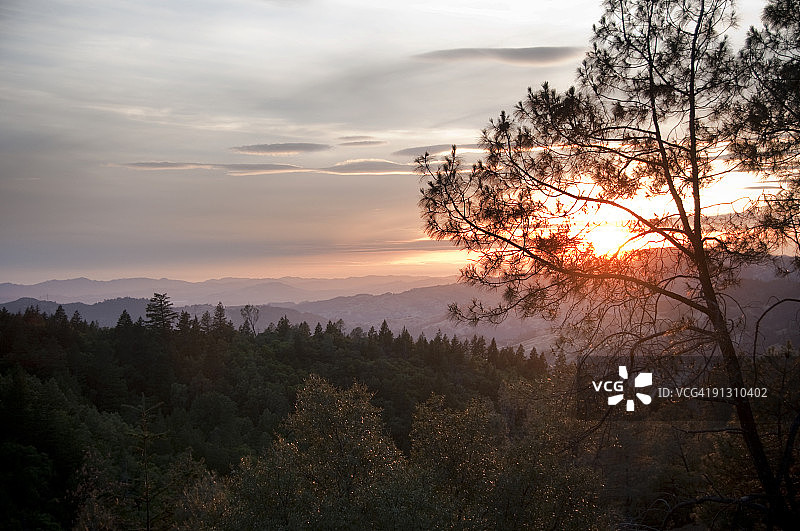 从加利福尼亚州卡利斯托加附近的艾达克莱顿路看到的景色图片素材