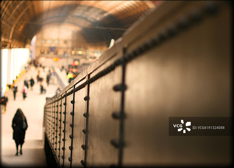 帕丁顿熊（Paddington Bear）图片素材