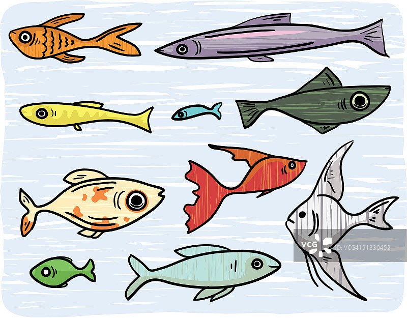 鱼类合集图片素材