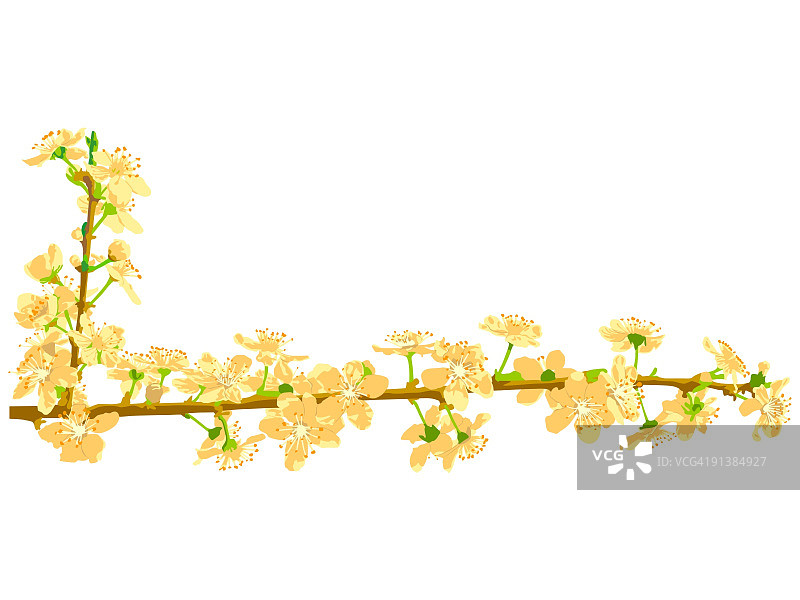 矢量春天花朵图片素材