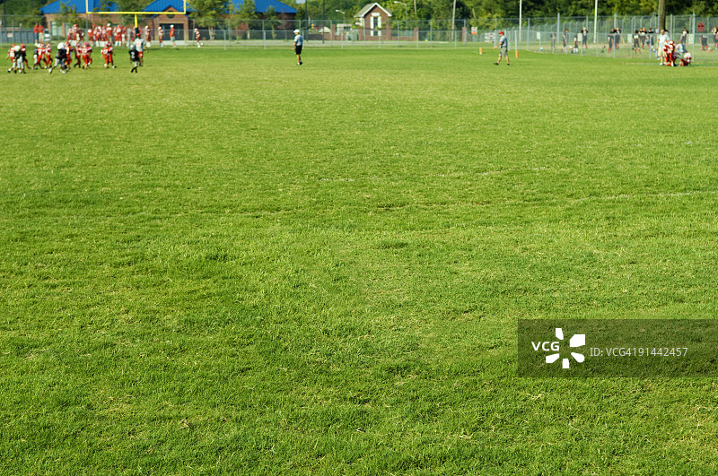 橄榄球场上橄榄球比赛中的橄榄球运动员图片素材