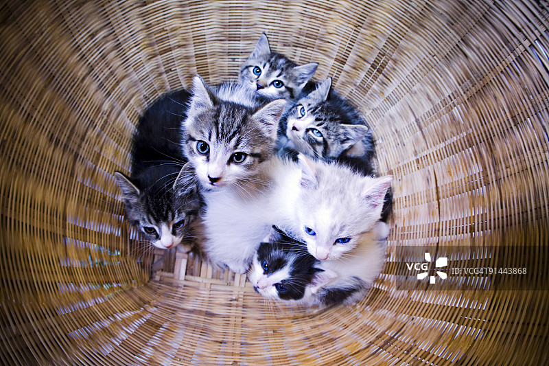 我的洗衣篮图片素材