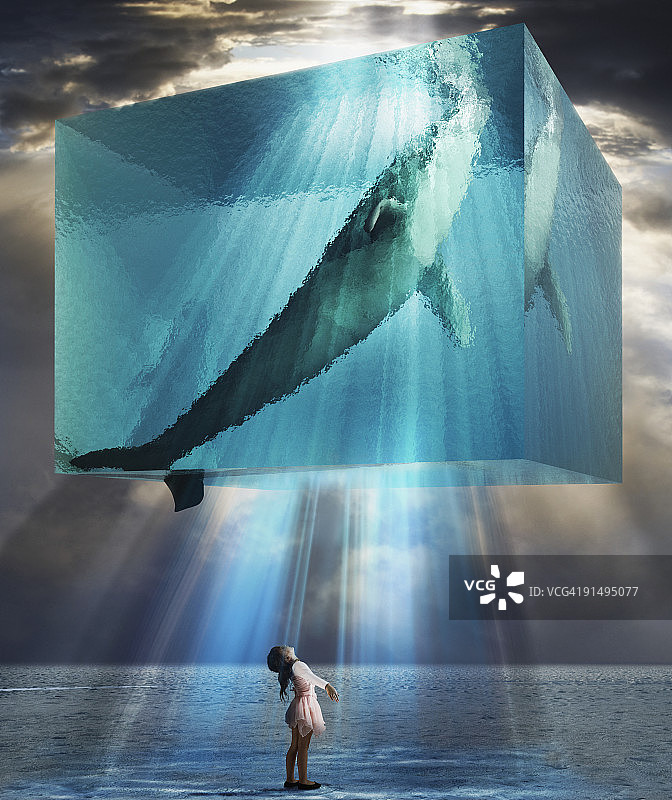 年轻女孩抬头看水中的鲸鱼图片素材