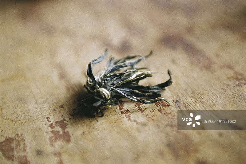 茶叶的捻转图片素材