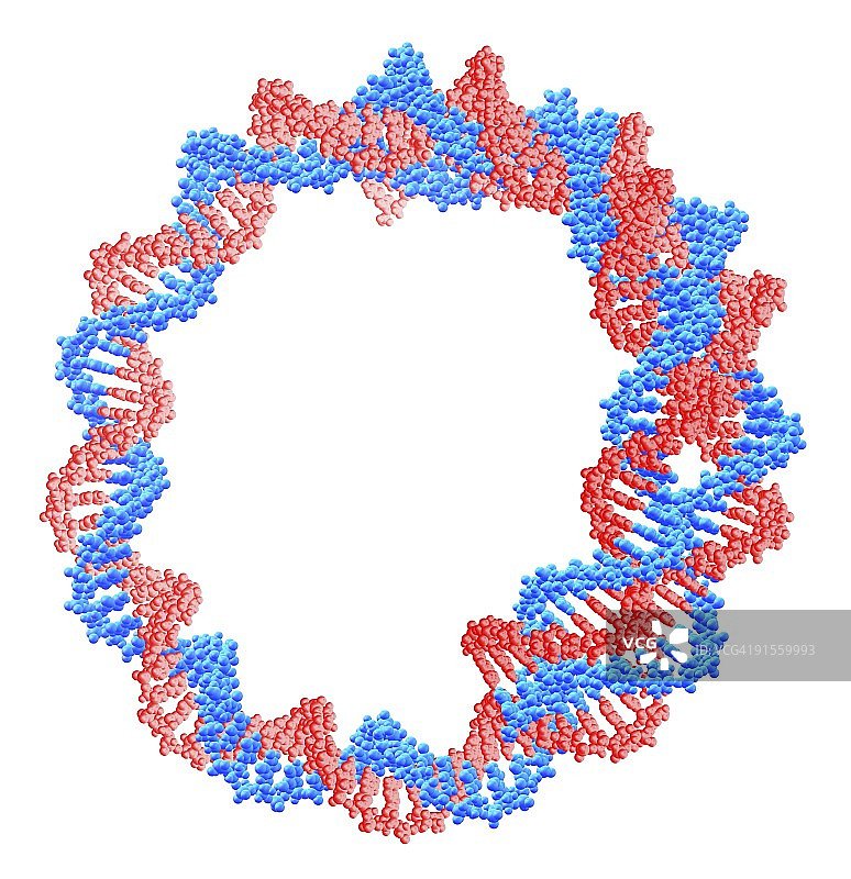 环形DNA分子图片素材