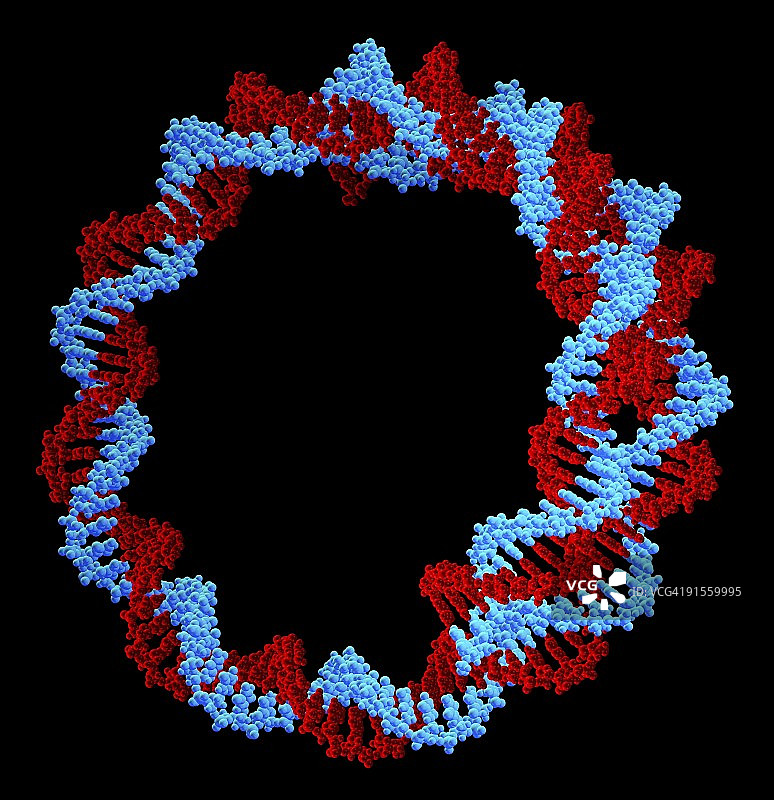 环形DNA分子图片素材