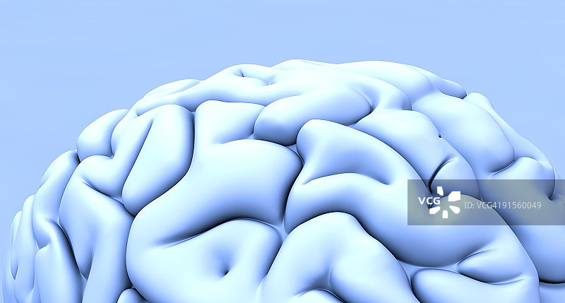 人类的大脑图片素材