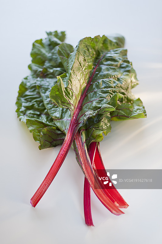 瑞士甜菜图片素材