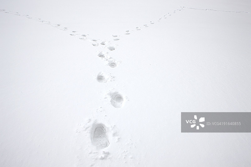 雪地中足迹的延伸线图片素材