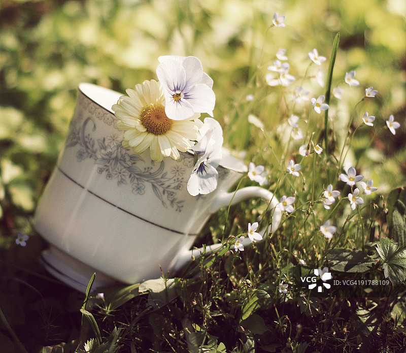 茶杯和鲜花图片素材