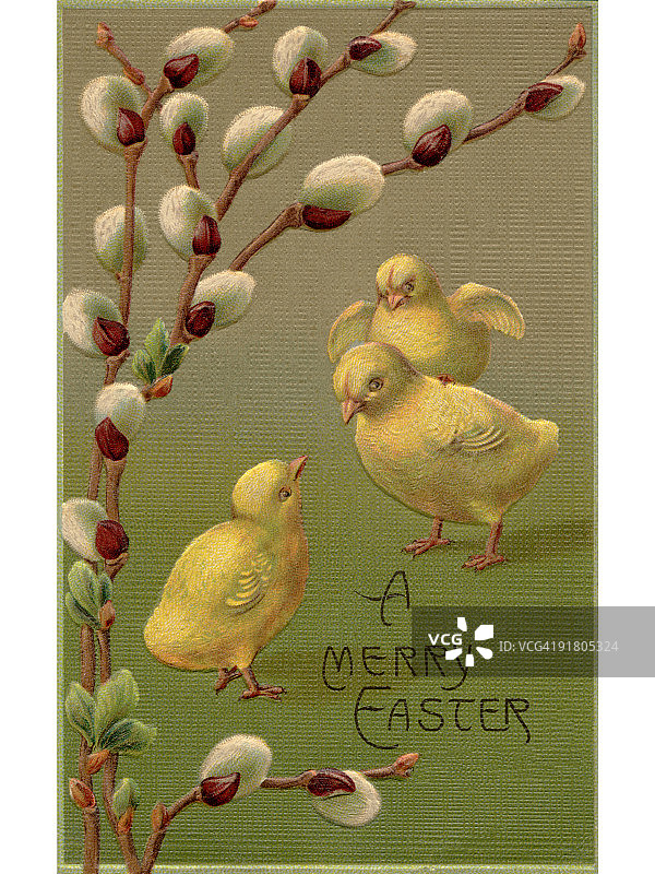 复古复活节明信片：柳条和三只小鸡图片素材