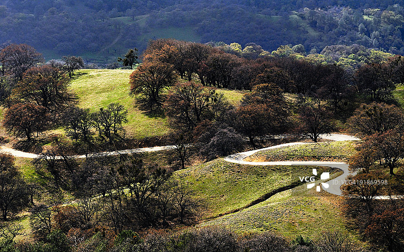 加州汉密尔顿山的弯曲道路图片素材