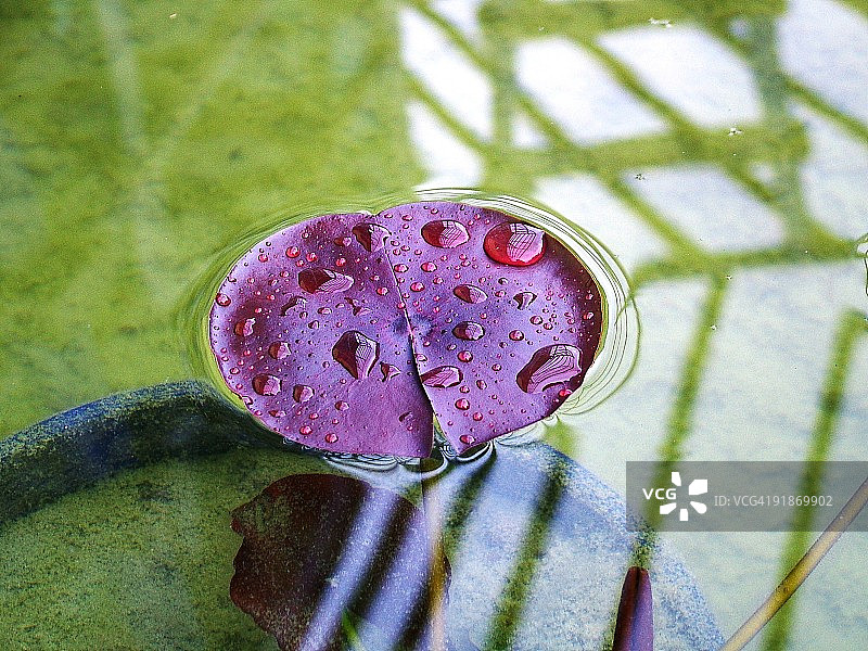 倒影酒吧图片素材