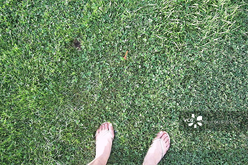 脚踩在绿草地上图片素材