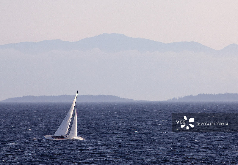 海上单帆船图片素材