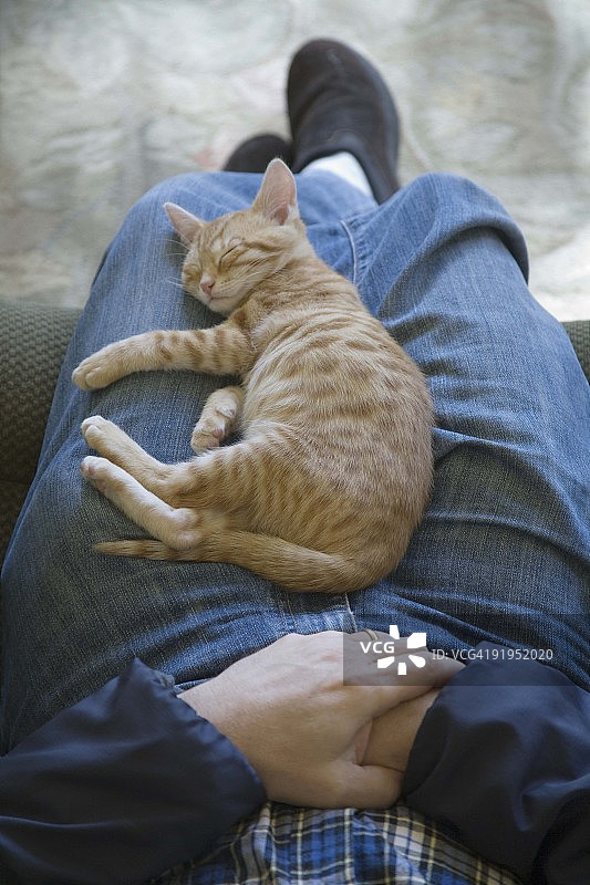 男人和猫坐在家里的低处图片素材