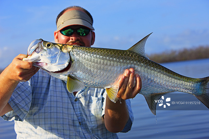 在巴哈马群岛用飞蝇竿捕获小 tarpon 鱼的飞蝇钓鱼者图片素材