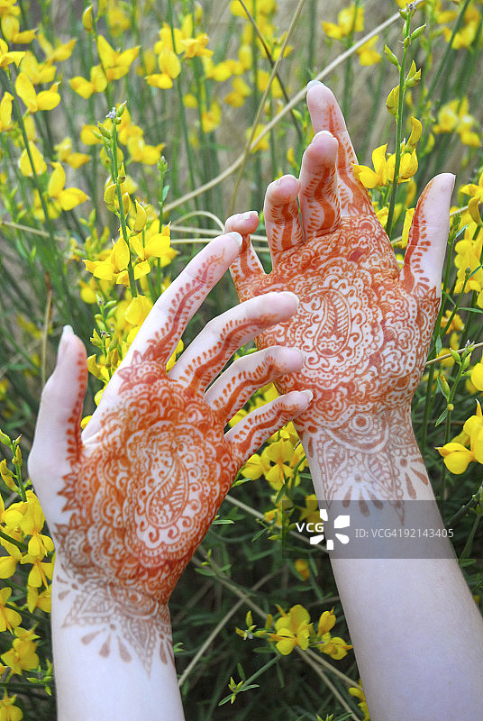 来教我们图片素材