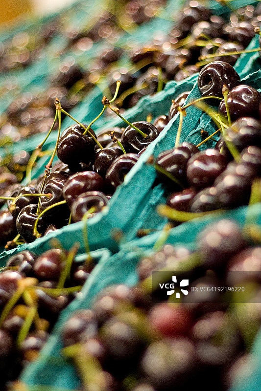 黑樱桃图片素材