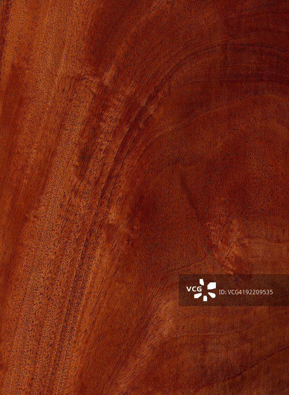 桃花心木纹理系列图片素材