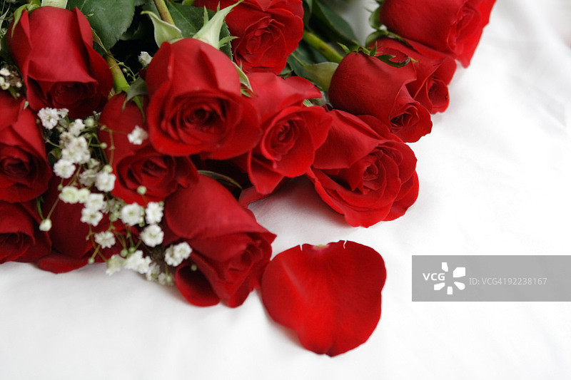 床上的玫瑰图片素材