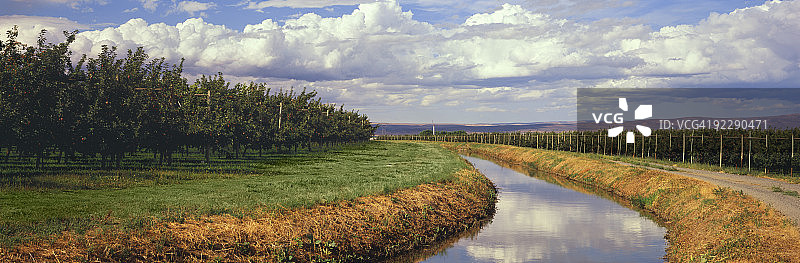 穿过苹果园的灌溉渠图片素材
