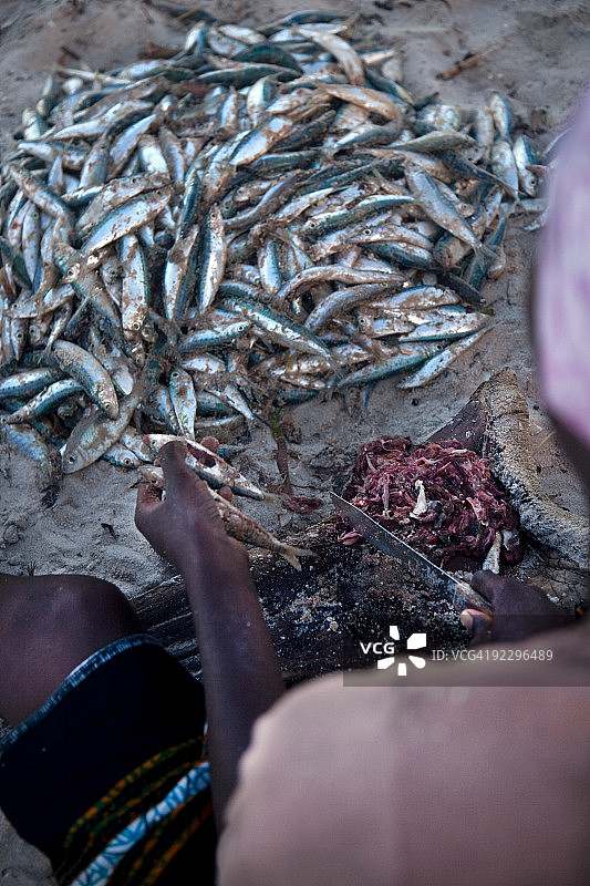维兰库洛斯海滩上的鱼市图片素材