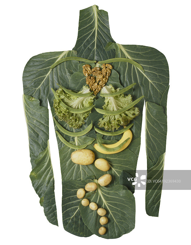 白色背景上的蔬菜身体图片素材