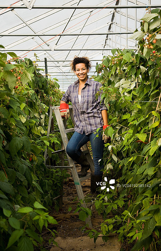 在有机农场的温室里的年轻女人图片素材