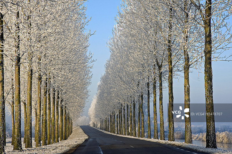 冬季公路与树木图片素材