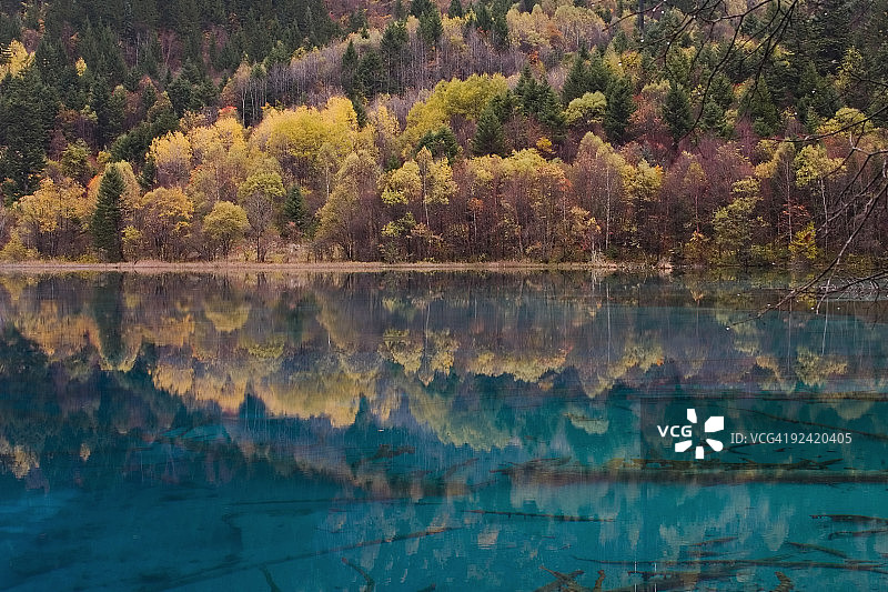 中国四川省九寨沟国家公园图片素材