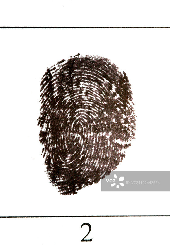 指纹特写图片素材