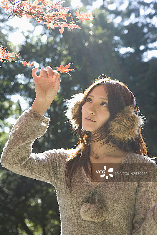 女孩触摸树叶图片素材