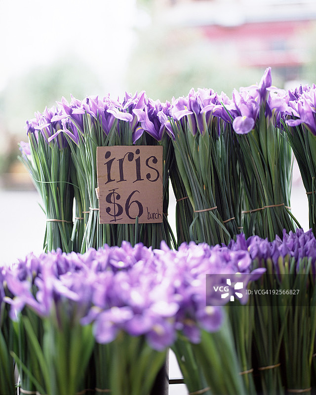 待售的鸢尾花图片素材